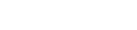 Gurú de Viaje